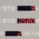 엘림 태양광발전소 이미지