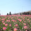 낙동강관리본부 화명생태공원 2 이미지