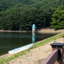 나무사이로 햇살이 이미지