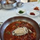 동화카밧데리 | 좌충우돌 스타리아 캠핑카 풀옵션 렌트 여행기 (feat. 강릉 바다내음캠핑장)