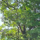 석산민박 이미지