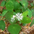 봉양농장 이미지