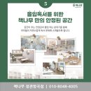 책나무 이미지