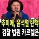 추미애, 윤석열 탄핵하기 딱 좋은날 이미지