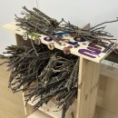 (1,2학년) 조물딱~ 조물딱~ 나만의 지점토 트레이 만들기 | 화분 거치대 만들기 / 곤충 호텔 마무리 / 미술 수업 / 김장 체험 / 코케다마 만들기 / 낙엽 트레이 만들기