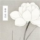 애견전문 미용 샵 이미지