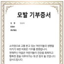드포레스트_