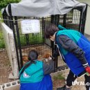 영양여자고등학교 이미지