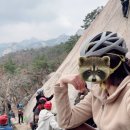수리봉 암장 등반 후기 | 슬랩 등반 난이도와 어프로치 정보