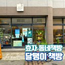 포항책방여행 효리단길 10년 달팽이책방 효자동 동네책방 독립서점