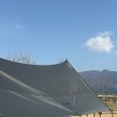 타프 네이버블로그