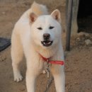 도도 - 고양시 일산동구 장항로 3 | 도도