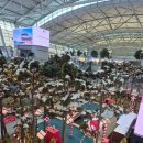 울산공항관광안내소 | [가고시마]일본소도시 여행_🌋가고시마 1일