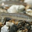 산밑집 농장 이미지