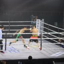 세계 복싱 체육관 이미지