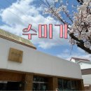 해물나무 홈서비스 | 해물 듬뿍 들어간 부산명지 수제비 맛집 수미가 내 돈 내산