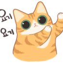 허니비모바일 이미지