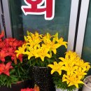 여주-0041 네이버블로그