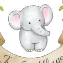 점보빌리지 이미지