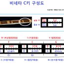 비네타 기초 (1) ....비네타 용도-종류-구성도-연주자세 이미지