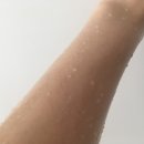 스트롱 라벤더
