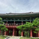 바다와소나무 이미지