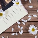 단오제 축제 이미지