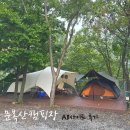 문복산캠핑장 | 경북 경주 문복산캠핑장 A8사이트 후기