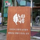 한생명 느티나무 이미지