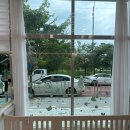 도토리살롱 이미지