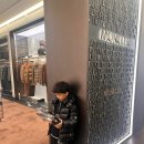 베스트 | 몽클레어 남성 Tibb 다운 베스트 후기