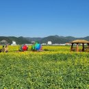 해양공원 공연장 이미지