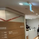 강남로미모의원 | M자 탈모 자가진단 하는 방법, 관리, 후기