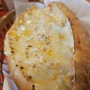 디지스도그 이미지