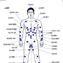 인체 타격시 위험한 혈자리(경혈)2 이미지