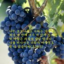 단물