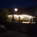 소쿠리파리