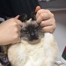 크로스핏 에스 슈퍼키친 | 2026. 01