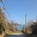 웨스트힐스 프라이빗 풀빌라 | [전남 여수] 웨스트힐스 프라이빗 풀빌라 내돈내산 후기