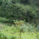 율산농장 이미지