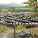 한우와된장 이미지