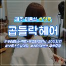 연동곱들락헤어