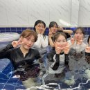 가평 끌로이스 풀빌라 독채펜션 이미지