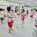 경희대솔밭태권도 이미지