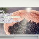 맨날국수 경주루지월드점 네이버블로그