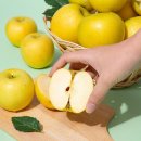 (주)더조은 이미지