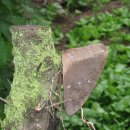 다람이마을 이미지