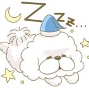 문수약국 이미지