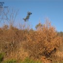 서신초제부분교장 이미지