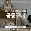 탐라개발 | 고양이모래추천 – 제주탐라니 화산송이 고양이모래의 모든 것